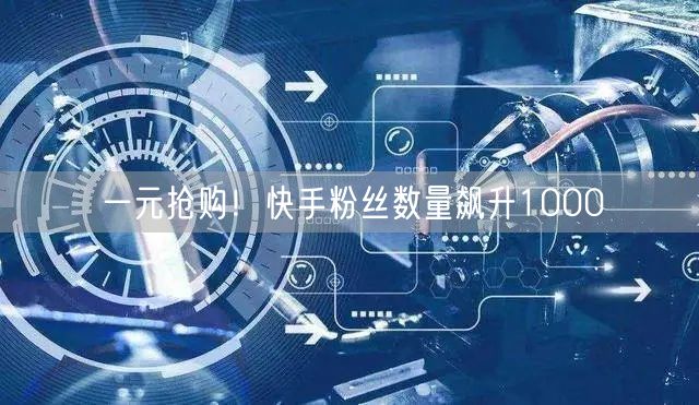 一元抢购！快手粉丝数量飙升1000