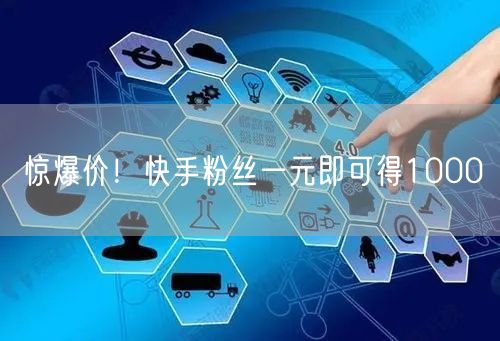 惊爆价！快手粉丝一元即可得1000