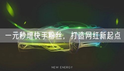 一元秒增快手粉丝，打造网红新起点