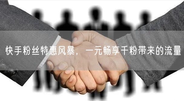 快手粉丝特惠风暴，一元畅享千粉带来的流量