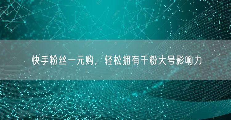 快手粉丝一元购，轻松拥有千粉大号影响力