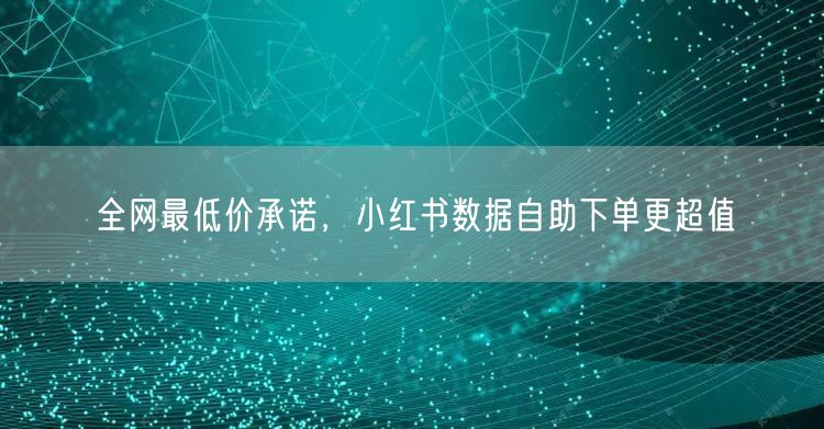 全网最低价承诺，小红书数据自助下单更超值