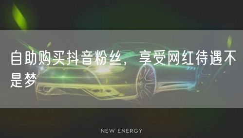 自助购买抖音粉丝，享受网红待遇不是梦